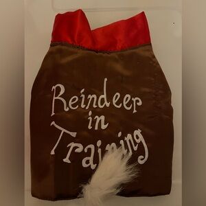 Reindeer in Training Pet Costume